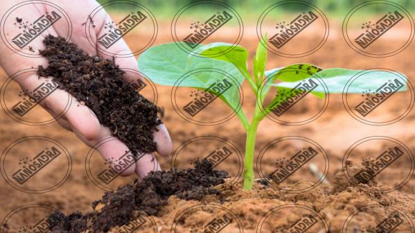 Demand of nano fertilizers on global market 