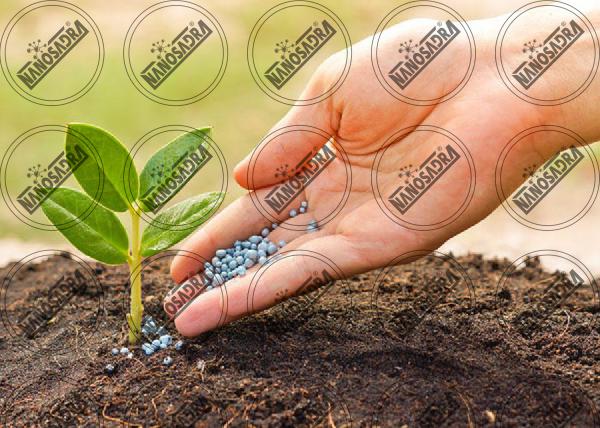 Are organic fertilizers so expensive?