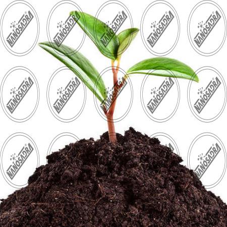 bio fertilizer manufacturers in india | Cheapest bio fertilizer products for sale