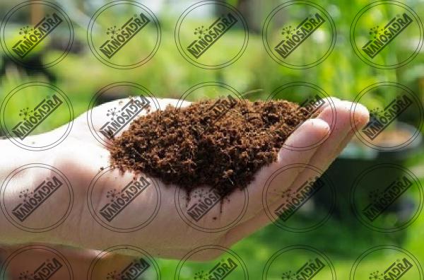 All about nano fertilizers and their different types 
