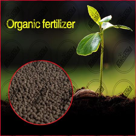 What are the important standards about bio fertilizers?