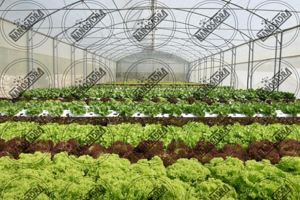 What are the advantages of biofertilizers?