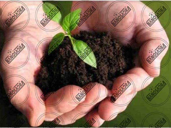 nano organic fertilizer | Best Asian Nano Fertilizer Producers