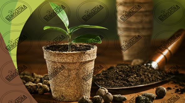 Organic nano fertilizers on the market  