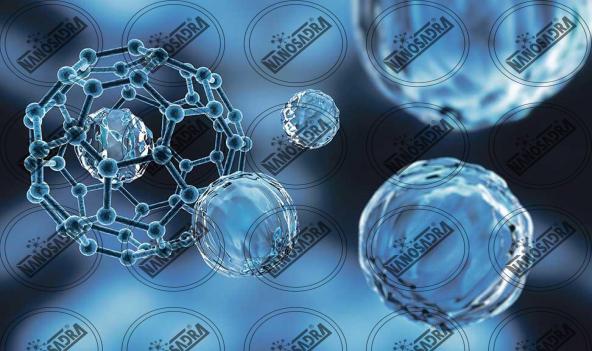  Advantages and disadvantages of silver nanoparticles